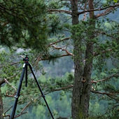 Tokina AT-X 70-200 mm f/4,0 Pro FX VCM-S pro Nikon