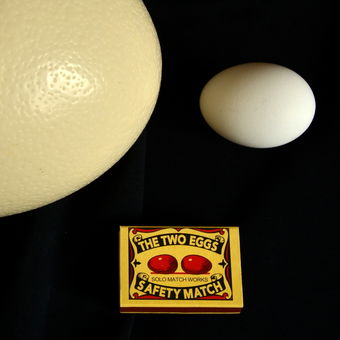 THE TWO EGGS
