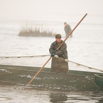 Mlhavé ráno rybářovo