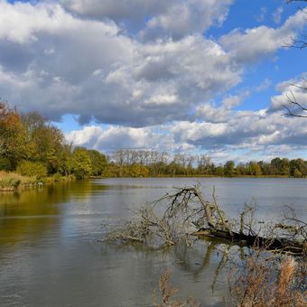 Podzimní rybník Nová Louka 2