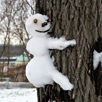 Tree Hugger Snowman