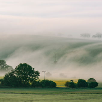 Jarní mlha na Šumavě