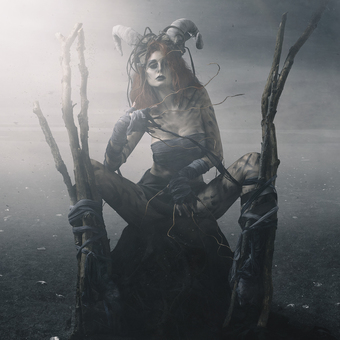 Queen of the Dark Forest