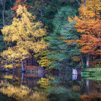Podzim u rybníka