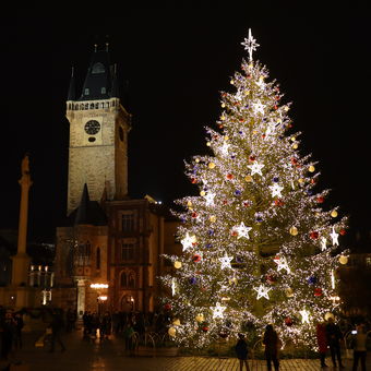 Vánoční stromek na Staroměstském náměstí