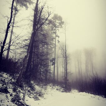 Mlhavá cesta