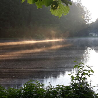 ráno nad rybníkem
