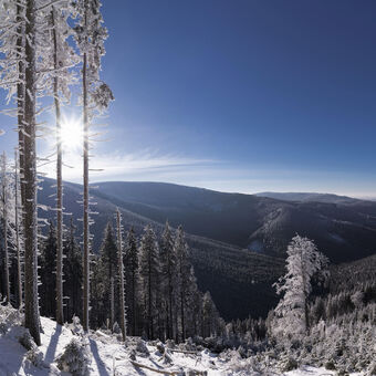 Zimní panoramata