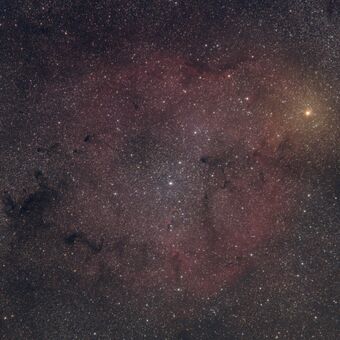 IC1396 - Mladá otevřená hvězdokupa v souhvězdí Cefea