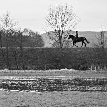 Jezdec na koni (v horizontu)