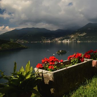 Lago di Iseo - muškátový pohled :-)