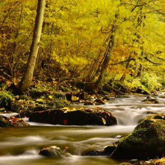 Vodopády Stříbrného potoka - Jeseník