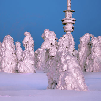 Sněhové sochy na Pradědu