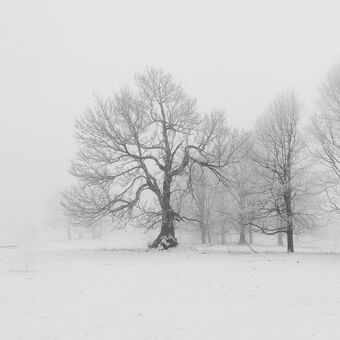 Mlha, sníh a mráz