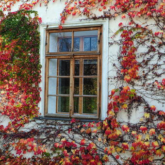podzimní okno