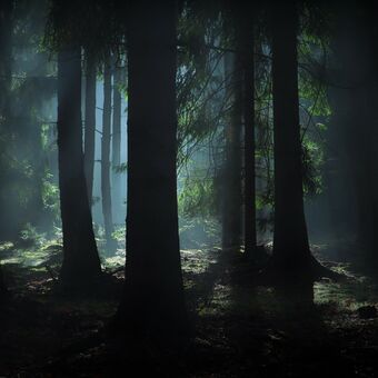 Tajemství lesních skřítků II
