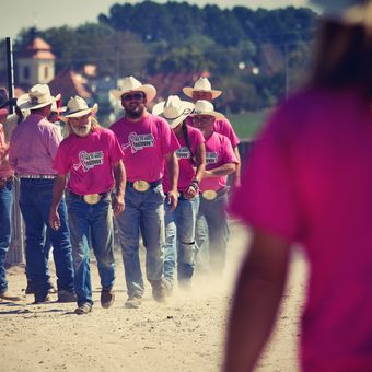 Růžové rodeo