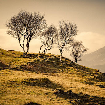 Kilbride | Isle of Skye