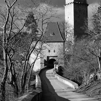 Zvíkovský hrad