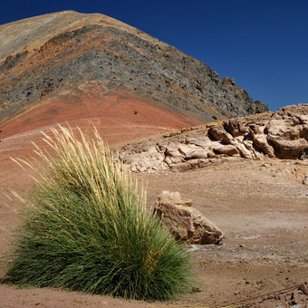 Poušť Atacama, sev. Chile