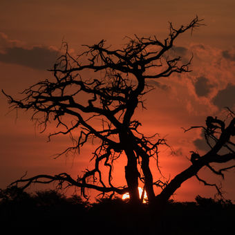 Západ slunce v NP Hwange, Zimbabwe