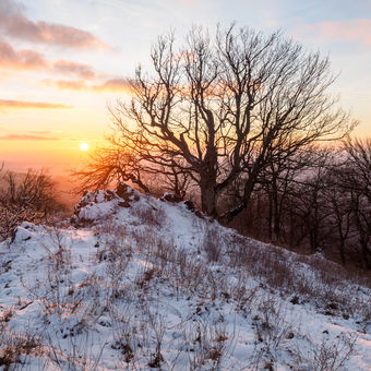 Západ slunce na Vysoké - Malé Karpaty
