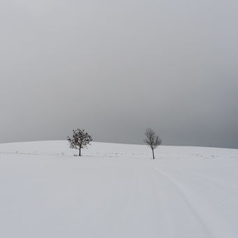 Zimní minimalismus