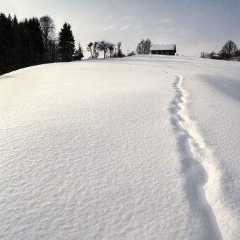 Cestička ve sněhu