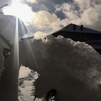 Slunce a sníh - hra světla