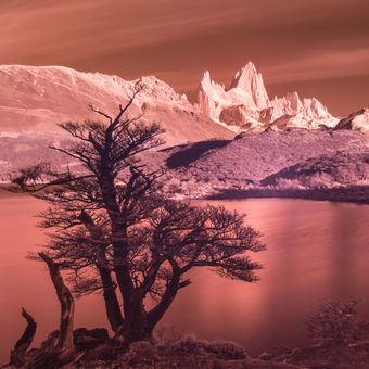 Mt. Fitz Roy in red