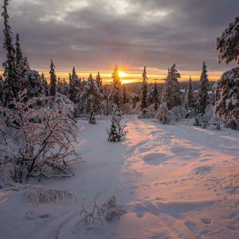Zimní Laponsko