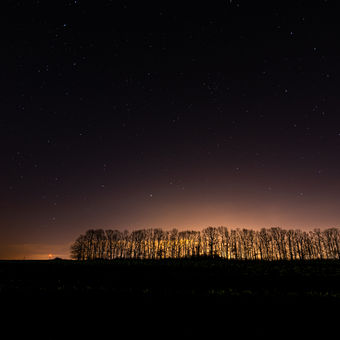 Noční stromořadí