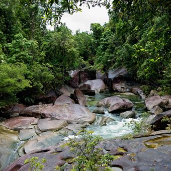 Řeka v australské džungli