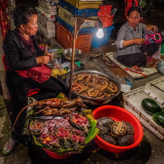 Food market - Kambodža