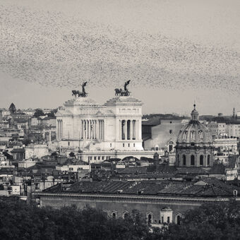 Hejna ptáků na Římem