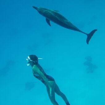 Dívka a delfín.