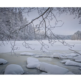 ...zima u Vyžlovského rybníka...