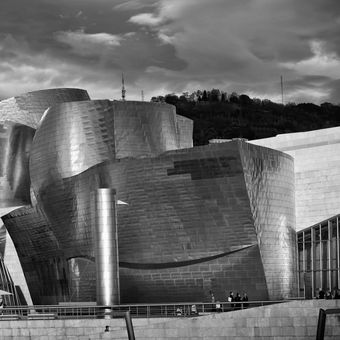Guggenheimovo Museum v Bilbao