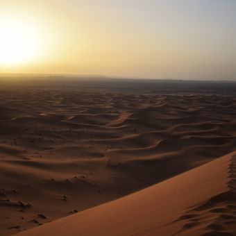 Sahara sunrise...