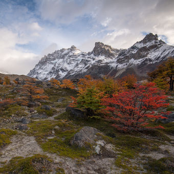 Barvy podzimu v Patagonii