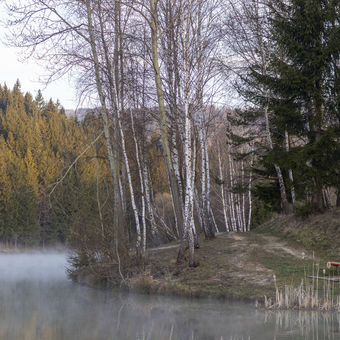 Rybnik Milošová