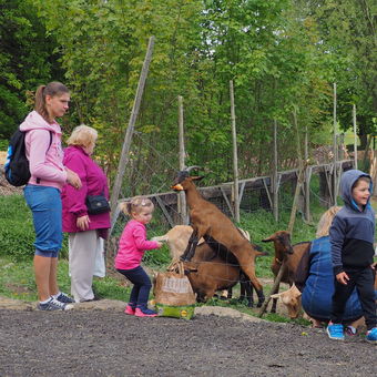 Rodinný výlet při návštěvě kozí farmy.
