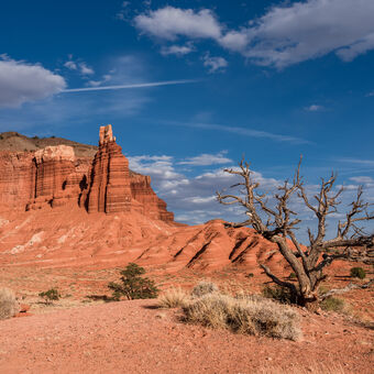 Sucho v Capitol Reef