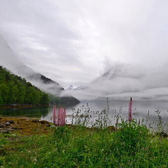 Fjord se probouzí
