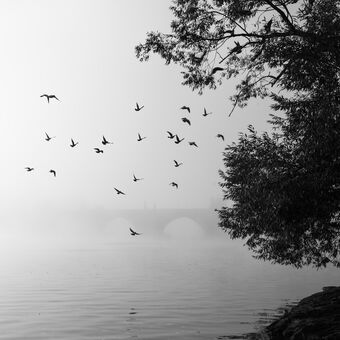 Mlhavé ráno u Karlova mostu