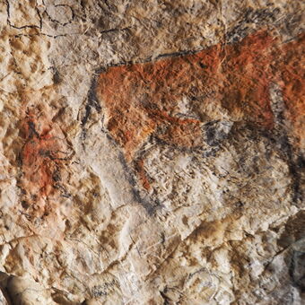 Malby z jeskyně KODA
