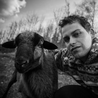 Selfie s ovcí