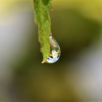 House in a small drop of water