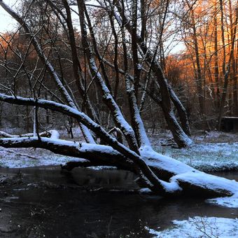 Únětický potok v zimě