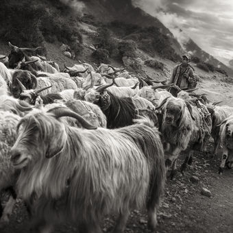 hory v Nepálu oblast pastevců